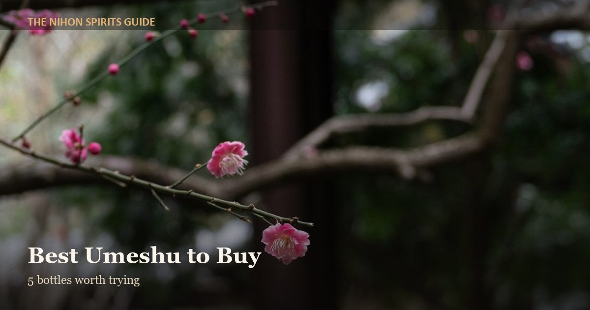 Best umeshu Japanese plum wine bottles to buy