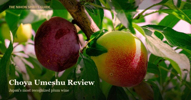 Choya Umeshu Review: Is Japan’s Best-Known Plum Wine Worth It?